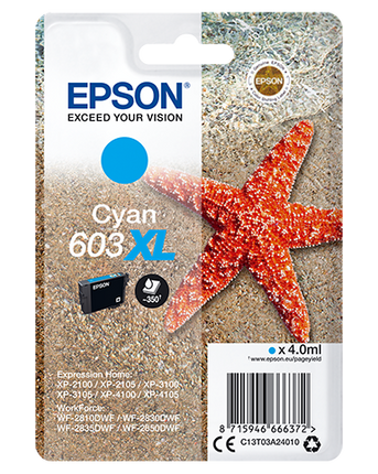 EPSON CARTUCCIA STELLA MARINA XL CIANO INKJET ALTA CAPACITA C13T03A24010 NO BLISTER